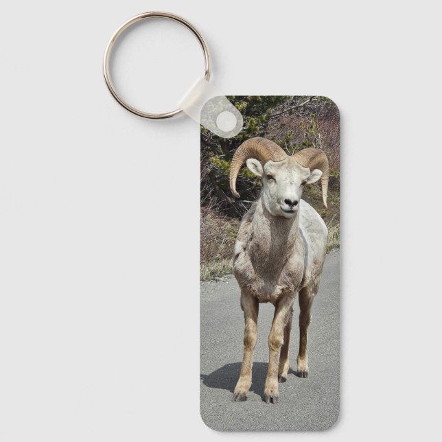 Bighorn Sheep Photograph Keychain (Front)