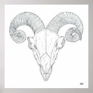 Bighorn Sheep Print (large)