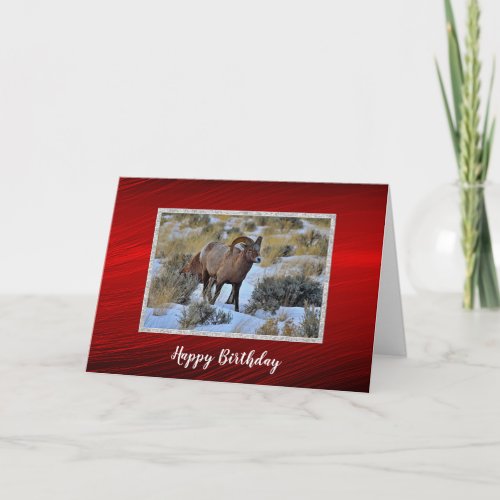 Bighorn Sheep Snow Photo Birthday Card