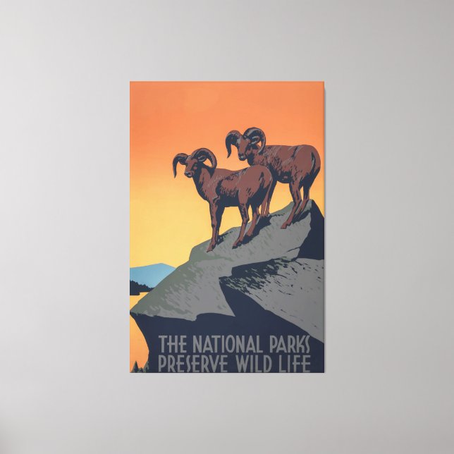 Bighorn Sheep Sunset Poster Canvas Print (Front)