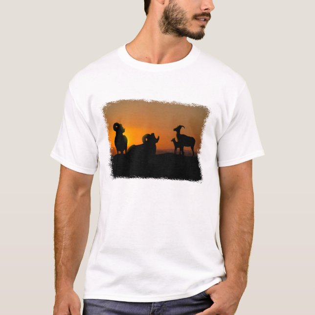 Bighorn Sheep T-Shirt (Front)