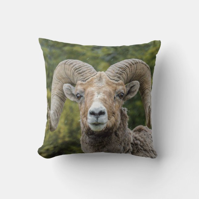 Bighorn Sheep Throw Pillow (Front)