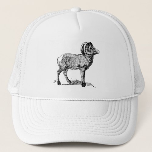 Bighorn Sheep Trucker Hat