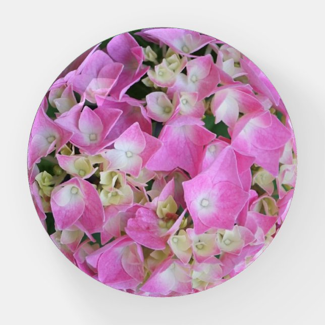 Bigleaf Hydrangea Paperweight (Front)