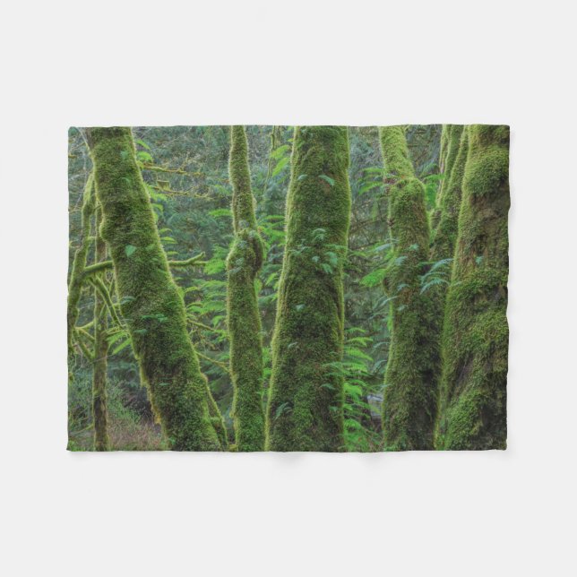 Bigleaf Maple Trees & Ferns | Washington State Fleece Blanket (Front (Horizontal))