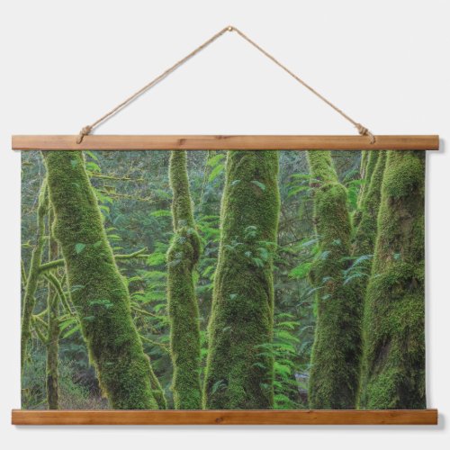 Bigleaf Maple Trees  Ferns  Washington State Hanging Tapestry