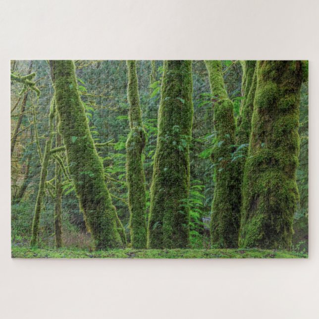 Bigleaf Maple Trees & Ferns | Washington State Jigsaw Puzzle (Horizontal)