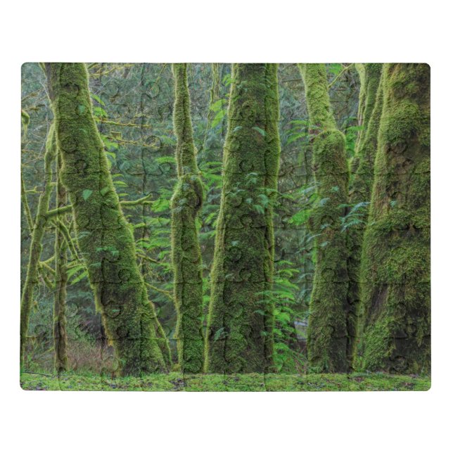 Bigleaf Maple Trees & Ferns | Washington State Jigsaw Puzzle (Puzzle Horizontal)