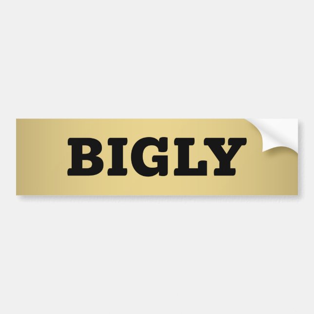 BIGLY BUMPER STICKER (Front)
