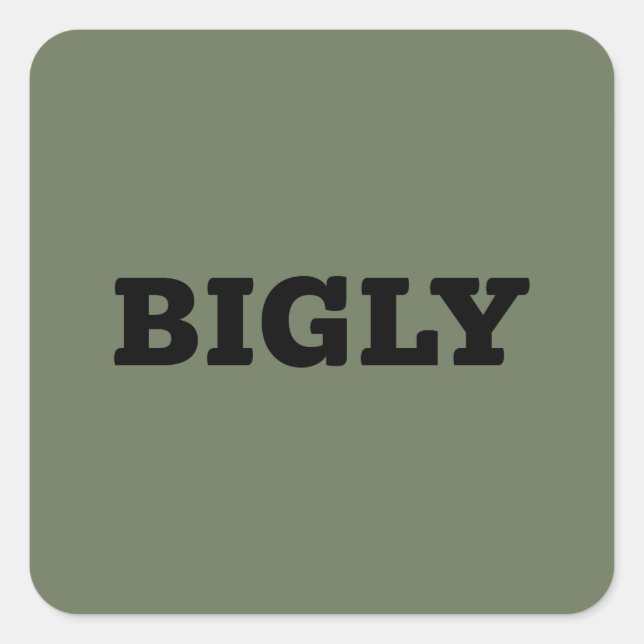 BIGLY SQUARE STICKER (Front)