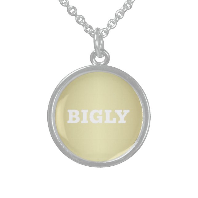 BIGLY STERLING SILVER NECKLACE (Front)
