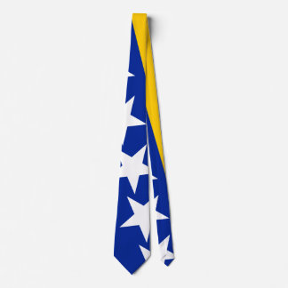 BiH Flag Coaster Neck Tie