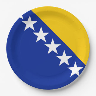 BiH Flag Coaster Paper Plates