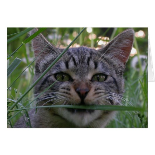 Bijou Grass Cards (Front Horizontal)