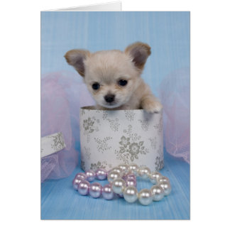 Bijoux Cards