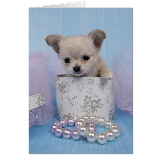 Bijoux Cards (Front)