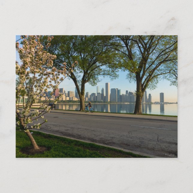 Bike Ride Down Solidarity Postcard (Front)