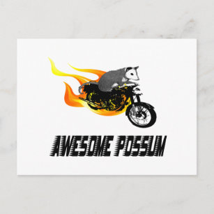 Bike Rider Awesome Possum Postcard
