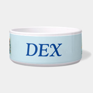 Biker doggies    bowl