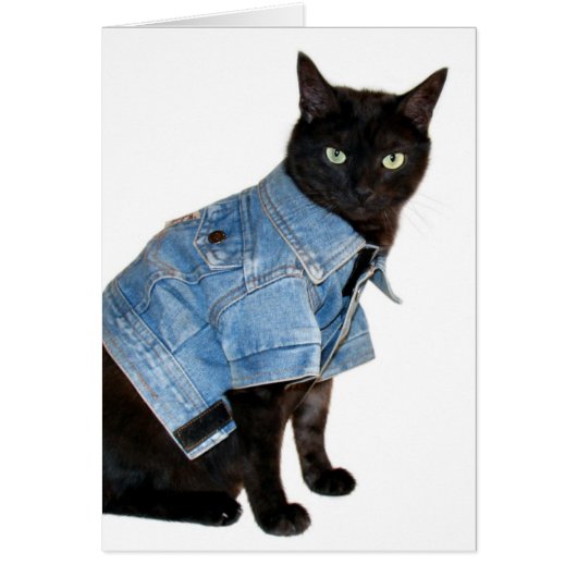 biker kitty (Front)