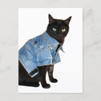 biker kitty postcard