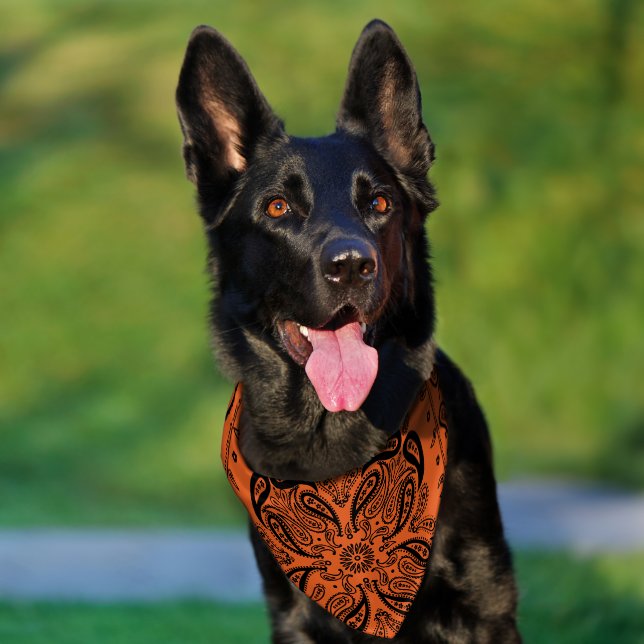 Biker Orange Stylish Paisley Dog Pet Bandana Collar (Dog)