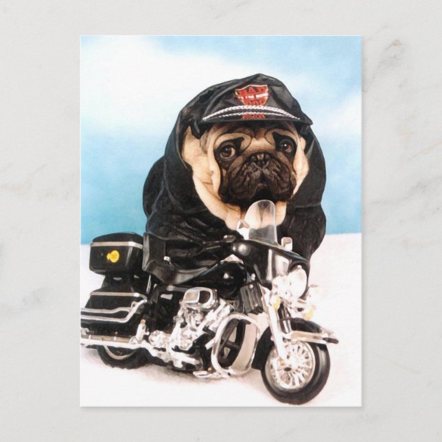 Biker Pug Dog Postcard (Front)