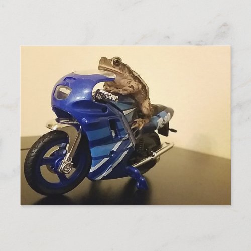 Biker Toad Postcard
