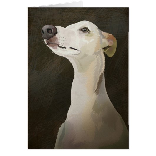 Bilbo the Whippet Cards (Front)