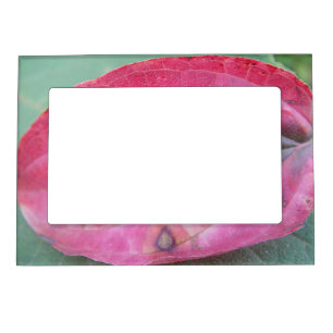 Bilderrahmen rotes Herbstblatt Magnetic Frame