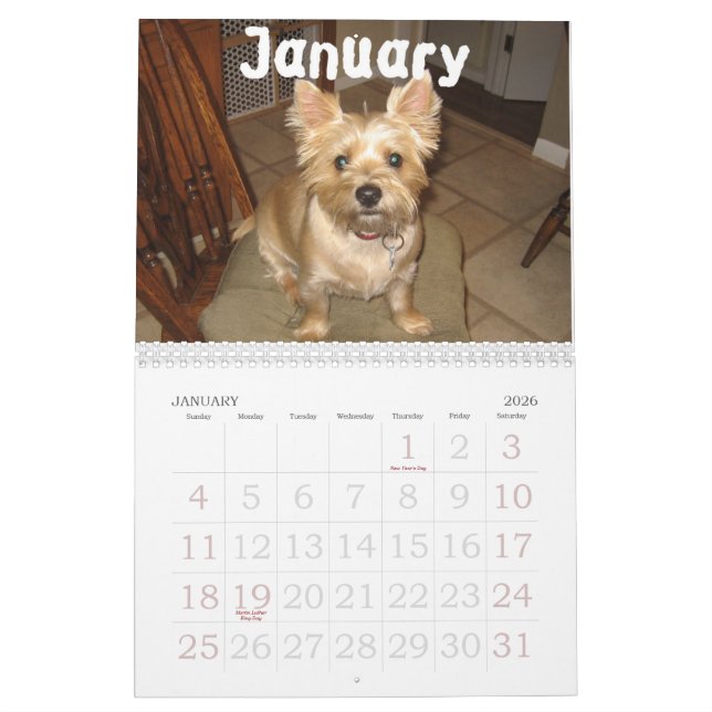 Bilgewater Calendar (Jan 2026)