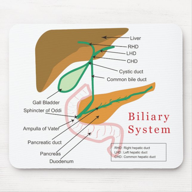 Biliary System Diagram Chart Bile Duct Mouse Pad (Front)