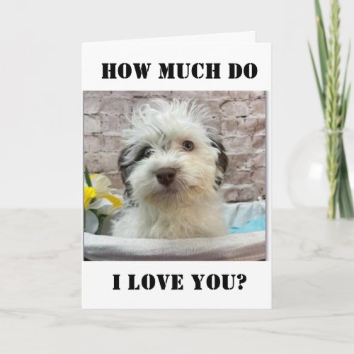 BILINGUAL DOG SAYS I LOVE YOU CARD