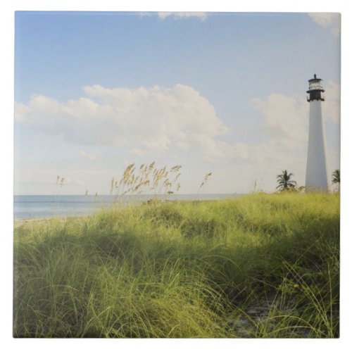 Bill Baggs Cape Florida Lighthouse Bill Baggs Tile