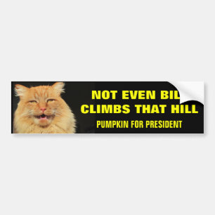 Bill Don't Climb That Hill...Pumpkin for President Bumper Sticker