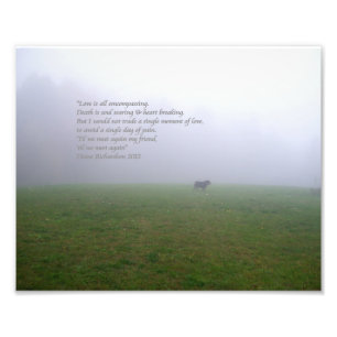 Bill In The Fog, an ode to departed canine friends Photo Print