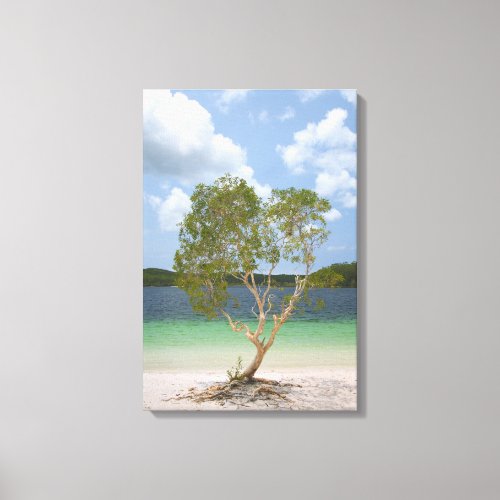BILLABONG TREE 16x24 Canvas Print