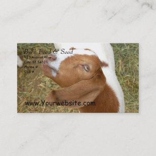 Bill's Feed & Seed Business Card