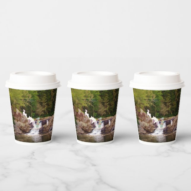 Billy GoaPaper Cups Size: 8oz Paper Cup, Lid: None (Multi)