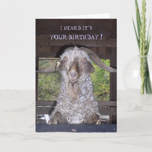 BILLY GOAT BIRTHDAY CARD (Front)