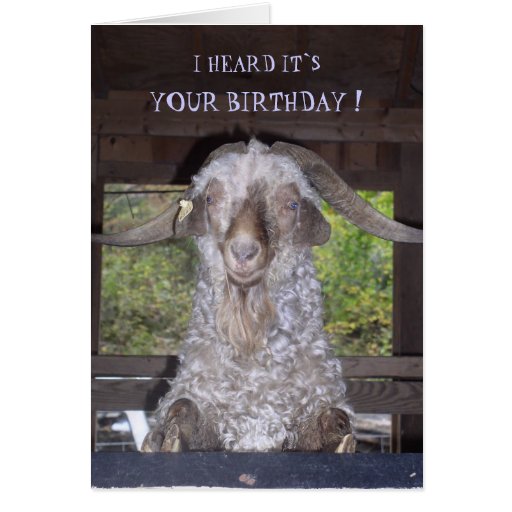 BILLY GOAT BIRTHDAY CARD | Zazzle