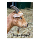 Goat Princess Happy Birthday Card | Zazzle.com