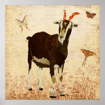 Billy Goat & Butterflies Poster by Greyszoo at Zazzle