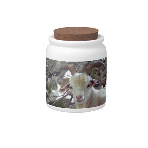 Billy Goat Candy Jar