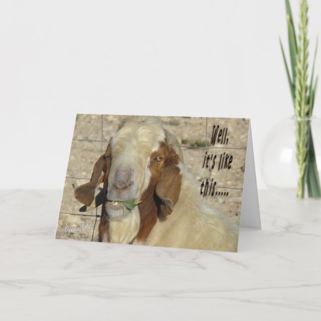 Billy Goat Card- for any occasion Card (Front)