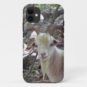 Billy Goat iPhone 11 Case
