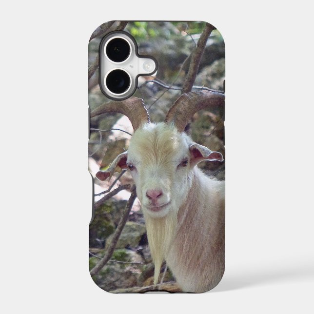 Billy Goat Iphone Case (Back)
