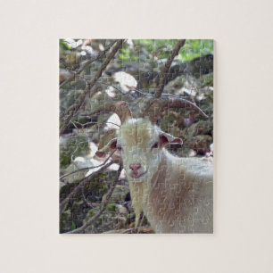 Billy Goat Jigsaw Puzzle