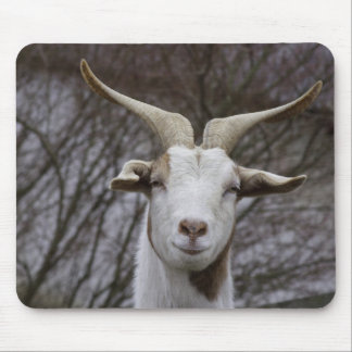 Billy Goat Mouse Pad