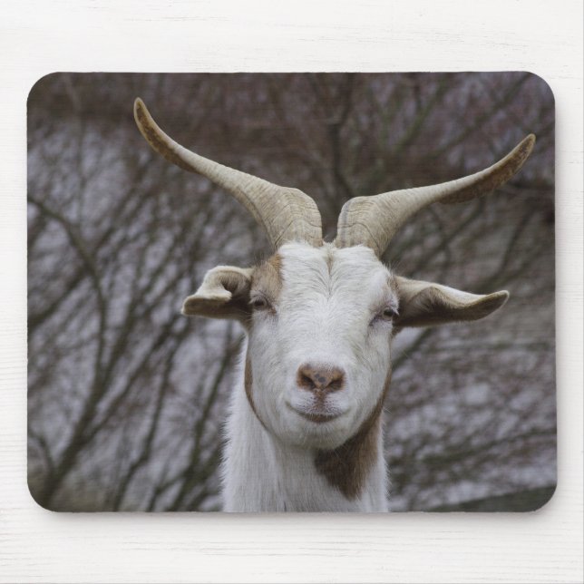 Billy Goat Mouse Pad (Front)